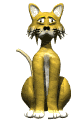 cat gif