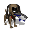dog gif